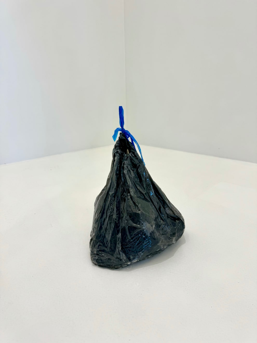 Lilja Birgisdóttir & Ingibjörg Birgisdóttir, Poki / Bag, 2024