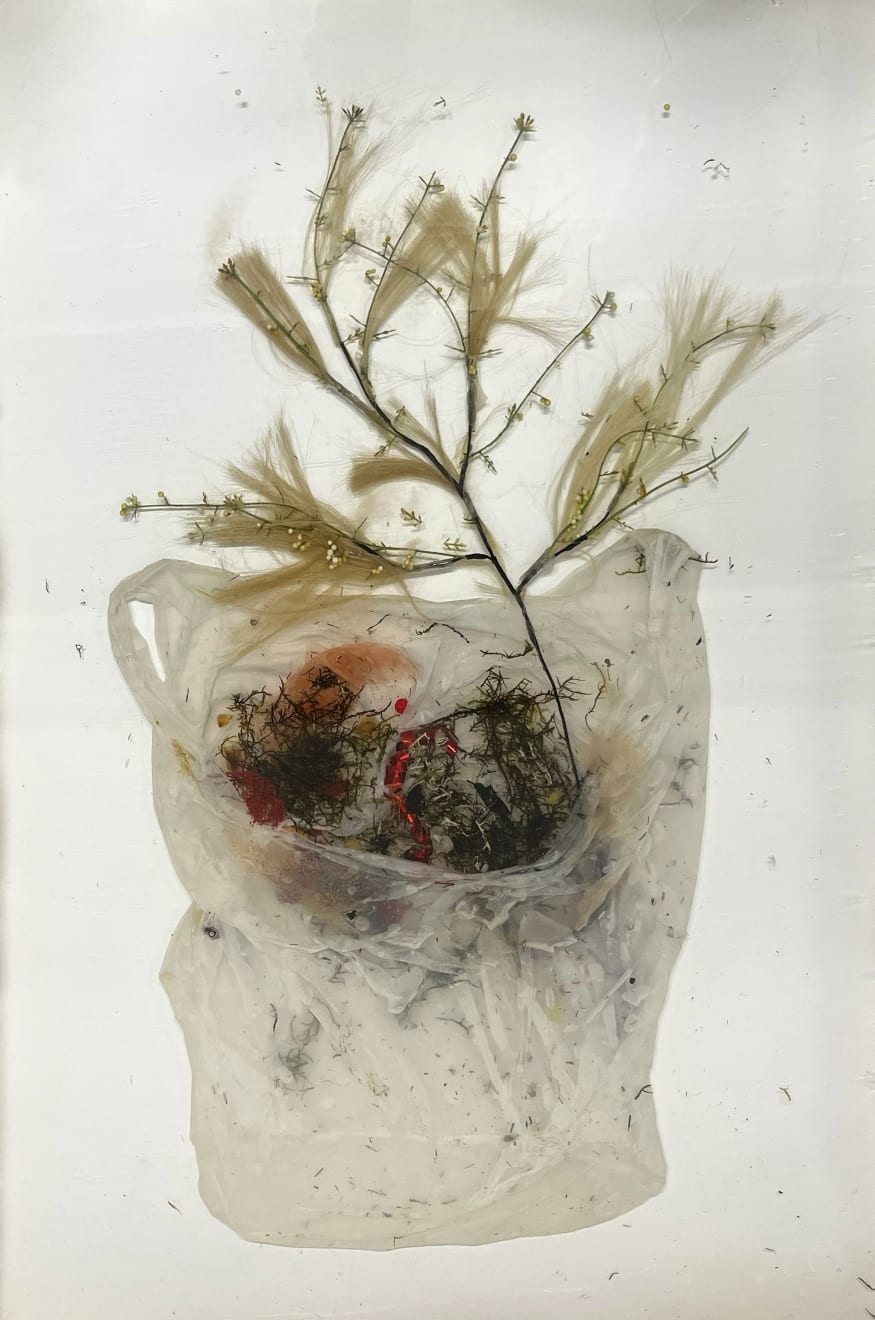 Lilja Birgisdóttir & Ingibjörg Birgisdóttir, Búslóð // Belongings 4, 2024