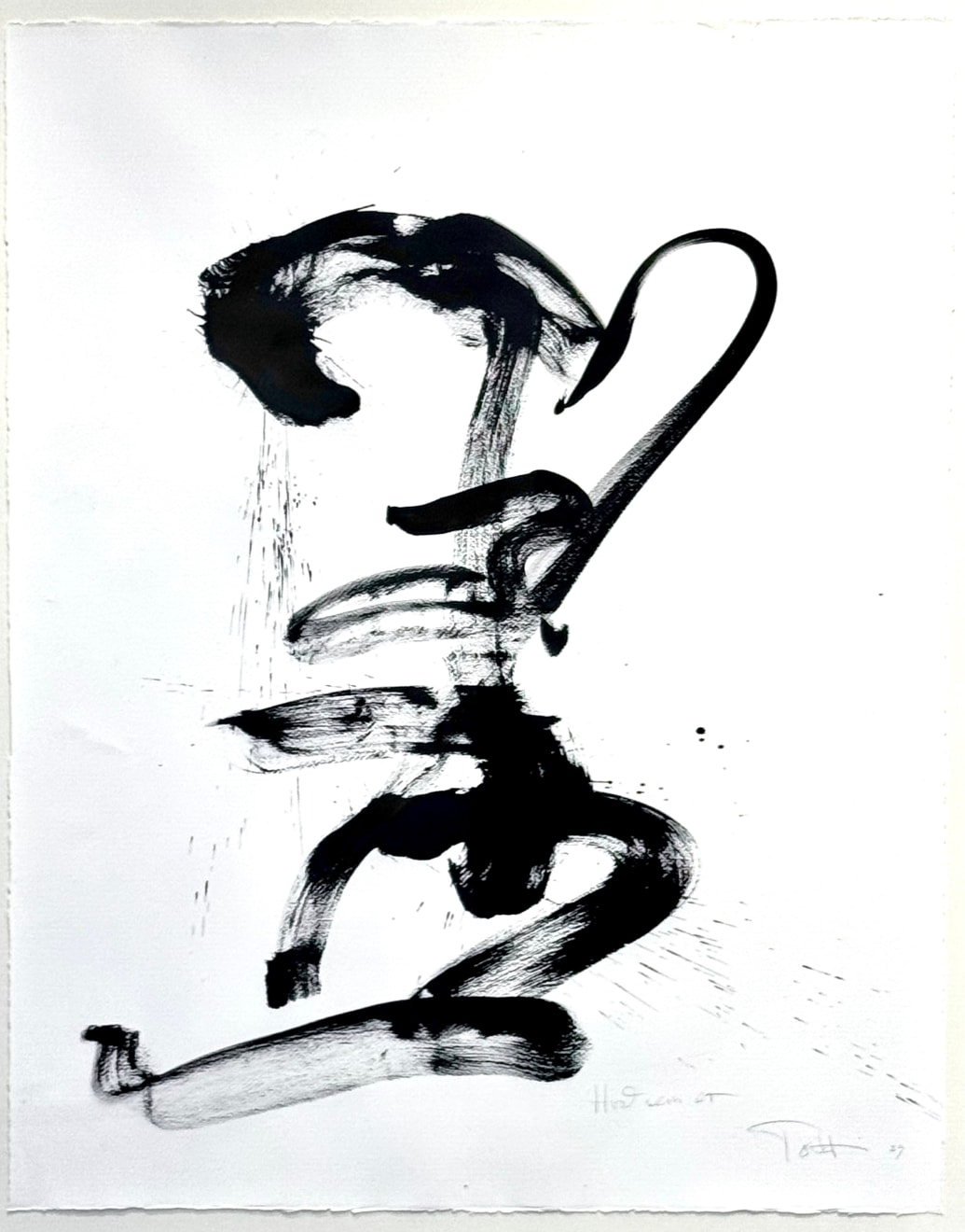 Tolli, Hvað sem er, 2025