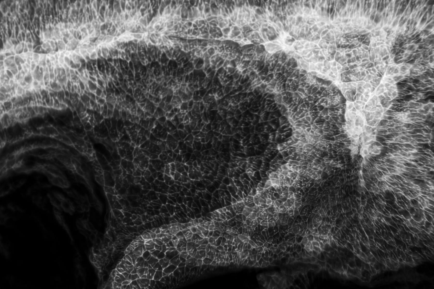 Anna Maggý, Avoiding Death and Birth 7, 2022