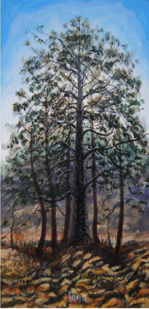 Xehan Vázquez, Conciencia vegetal, 2023