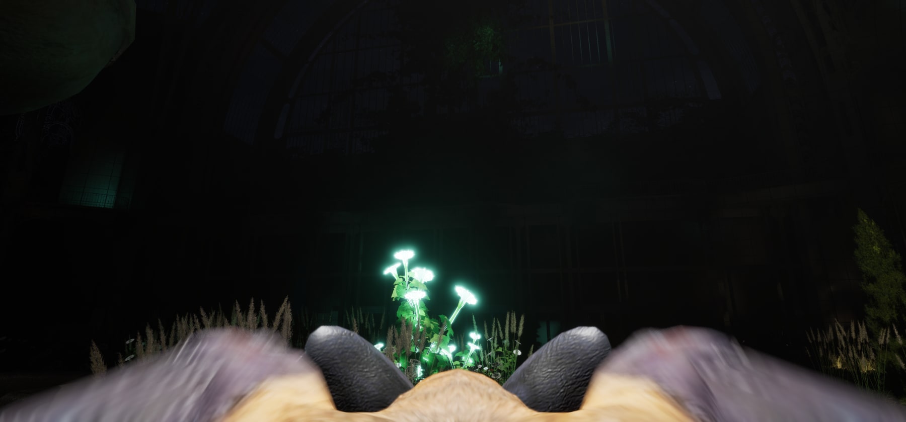 Alice Bucknell, Nightcrawlers, 2025