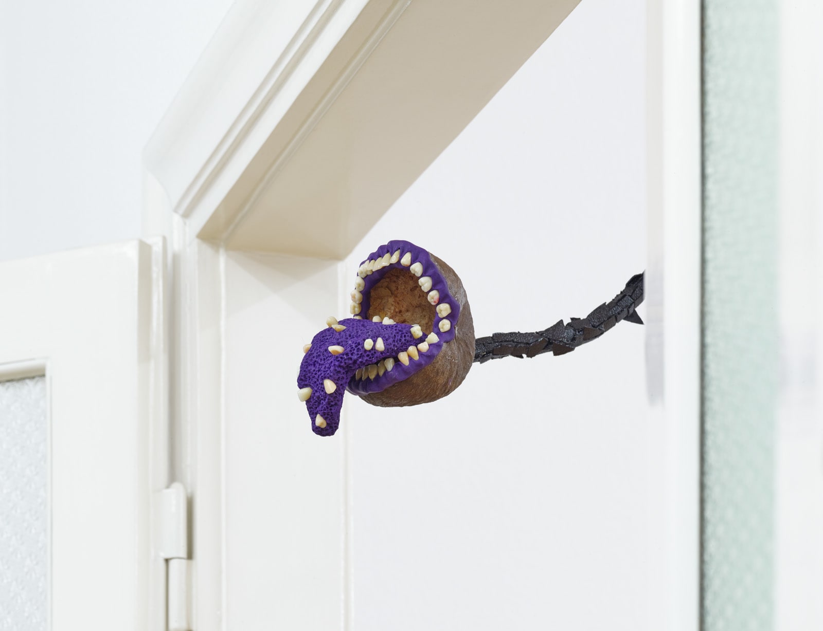 Przemek Branas, Plotka 7 [Rumour 7], 2020-2021