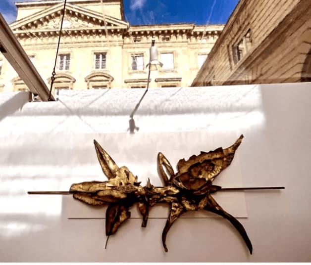 Narayan Sinha, Intimità Personale - Rapporto, 2023