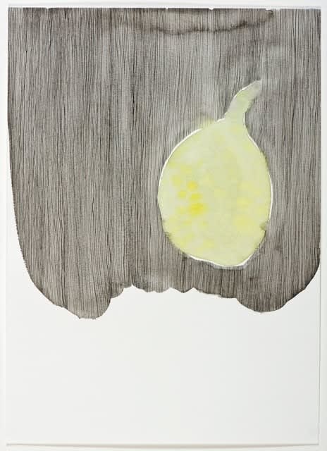 Dr Sangeeta Sandrasegar, The fruit of her labour , 2012