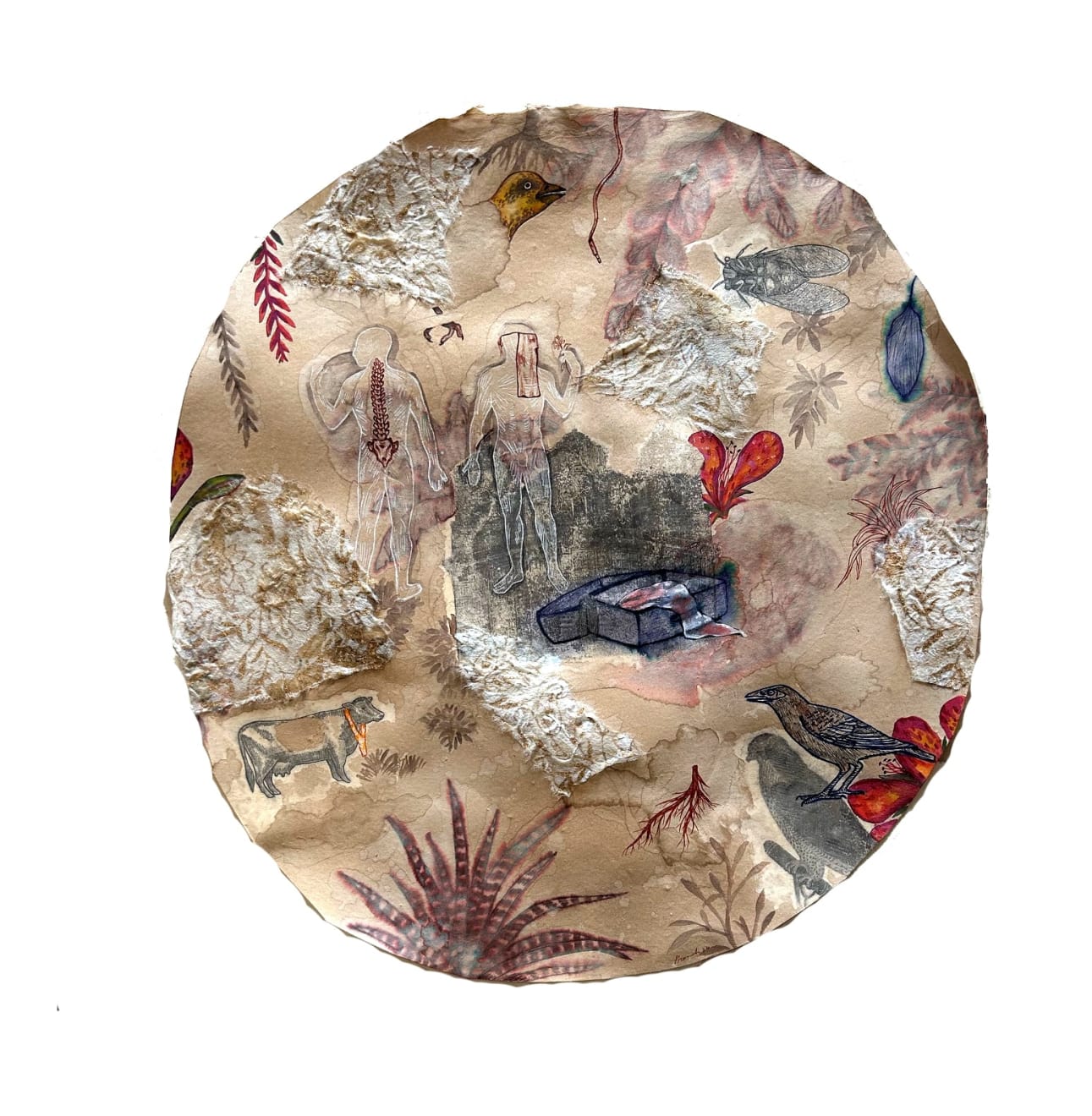 Promiti Hossain, Memorabilia series, 2024