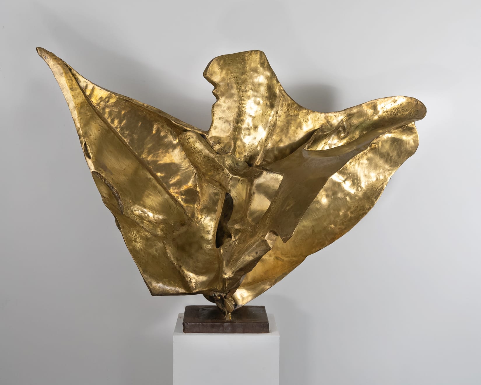 Narayan Sinha, Flower, 2022