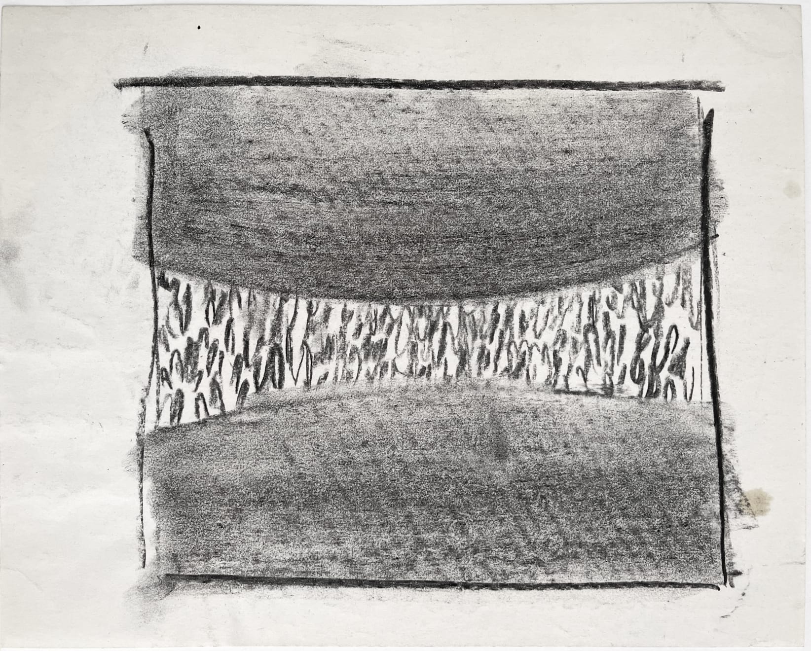 Edward Middleditch, Untitled (plant study)