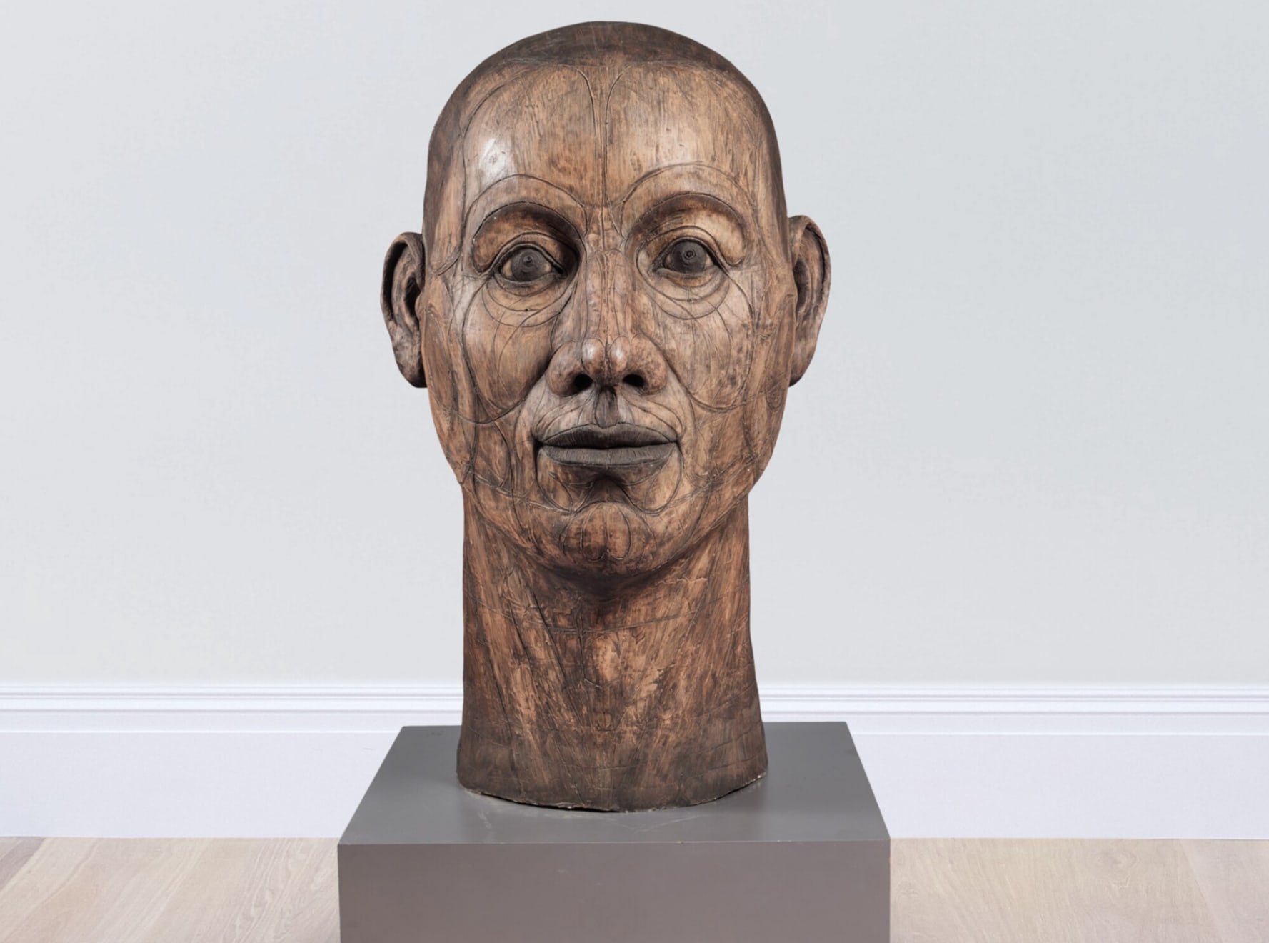 John Davies, Lined Head, 1988