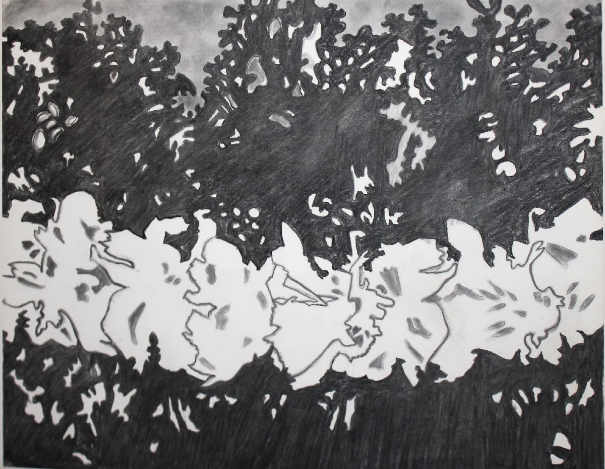 Edward Middleditch, Flowers and Landscape