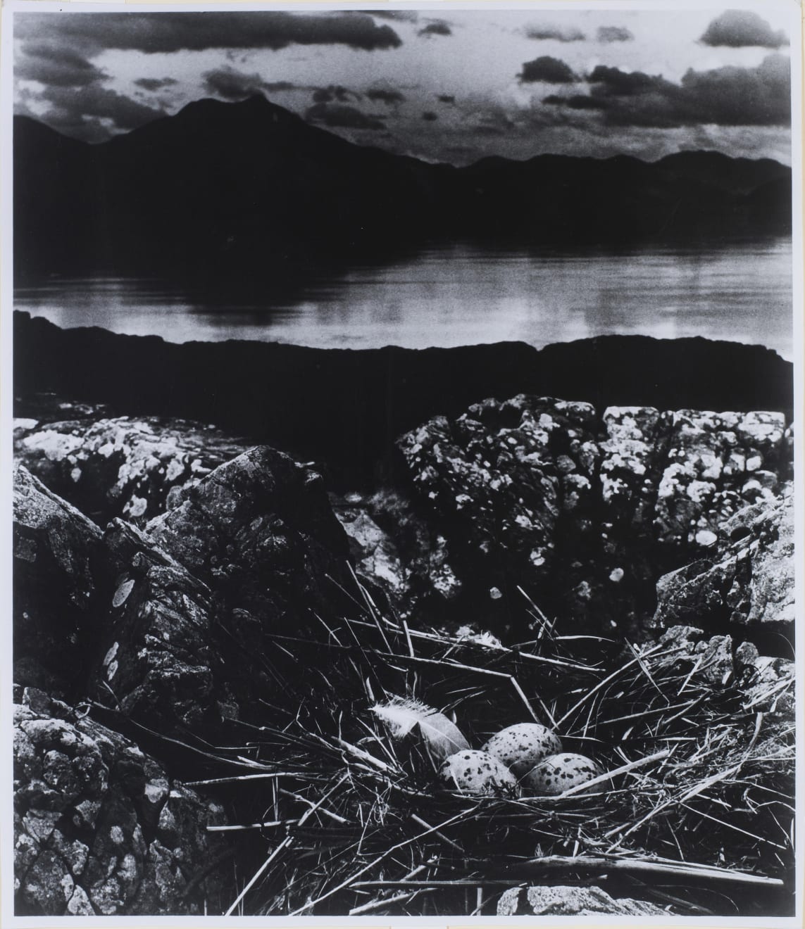 Bill Brandt, Gull’s Nest on Mid-Summer Night, Isle of Skye, 1947, 1947
