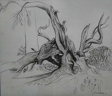 John Craxton, Split Yew, 1942