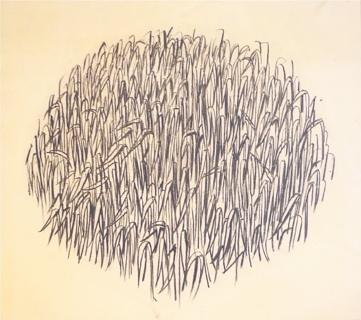 Edward Middleditch, Untitled