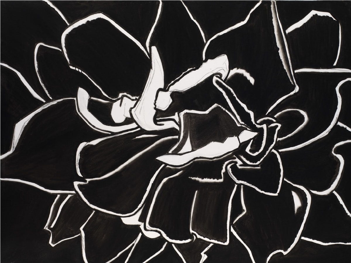 Edward Middleditch, Untitled (Rose)