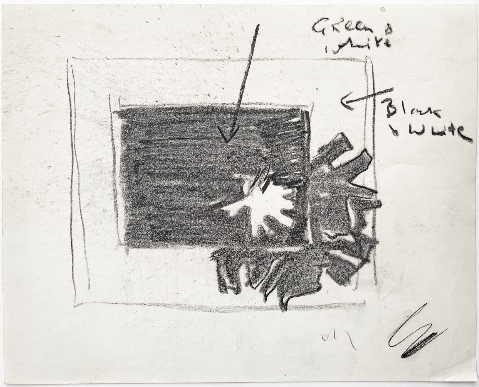 Edward Middleditch, Untitled (flower study)