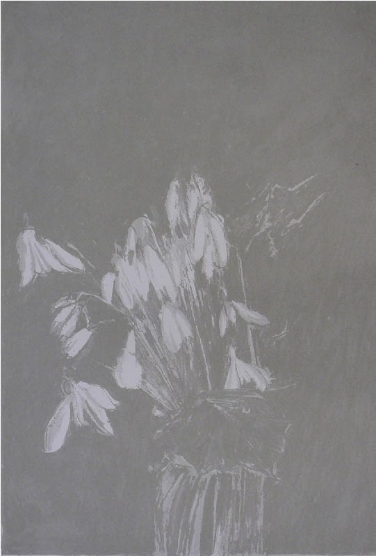 Edward Middleditch, Snowdrops II, 1975