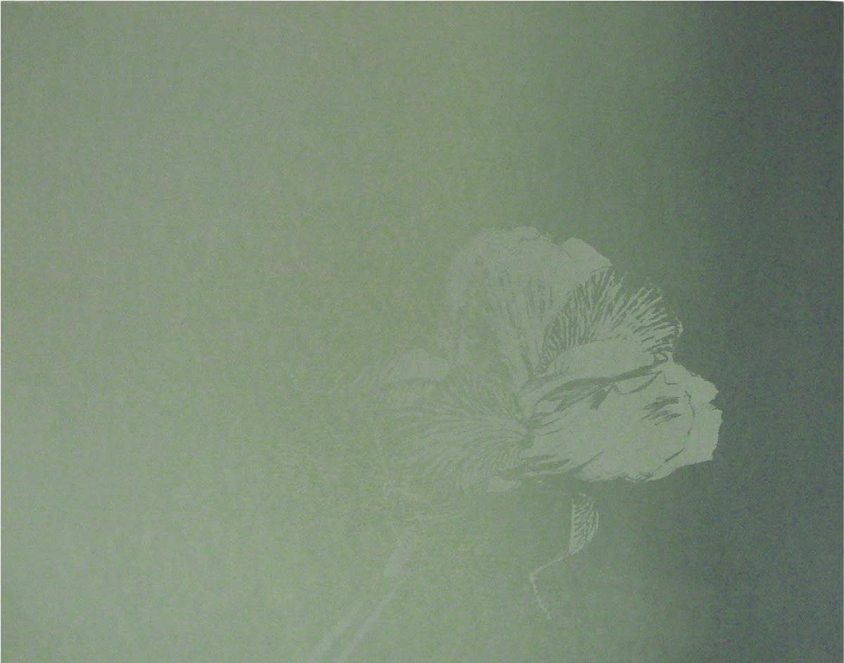 Edward Middleditch, Iris II, 1975