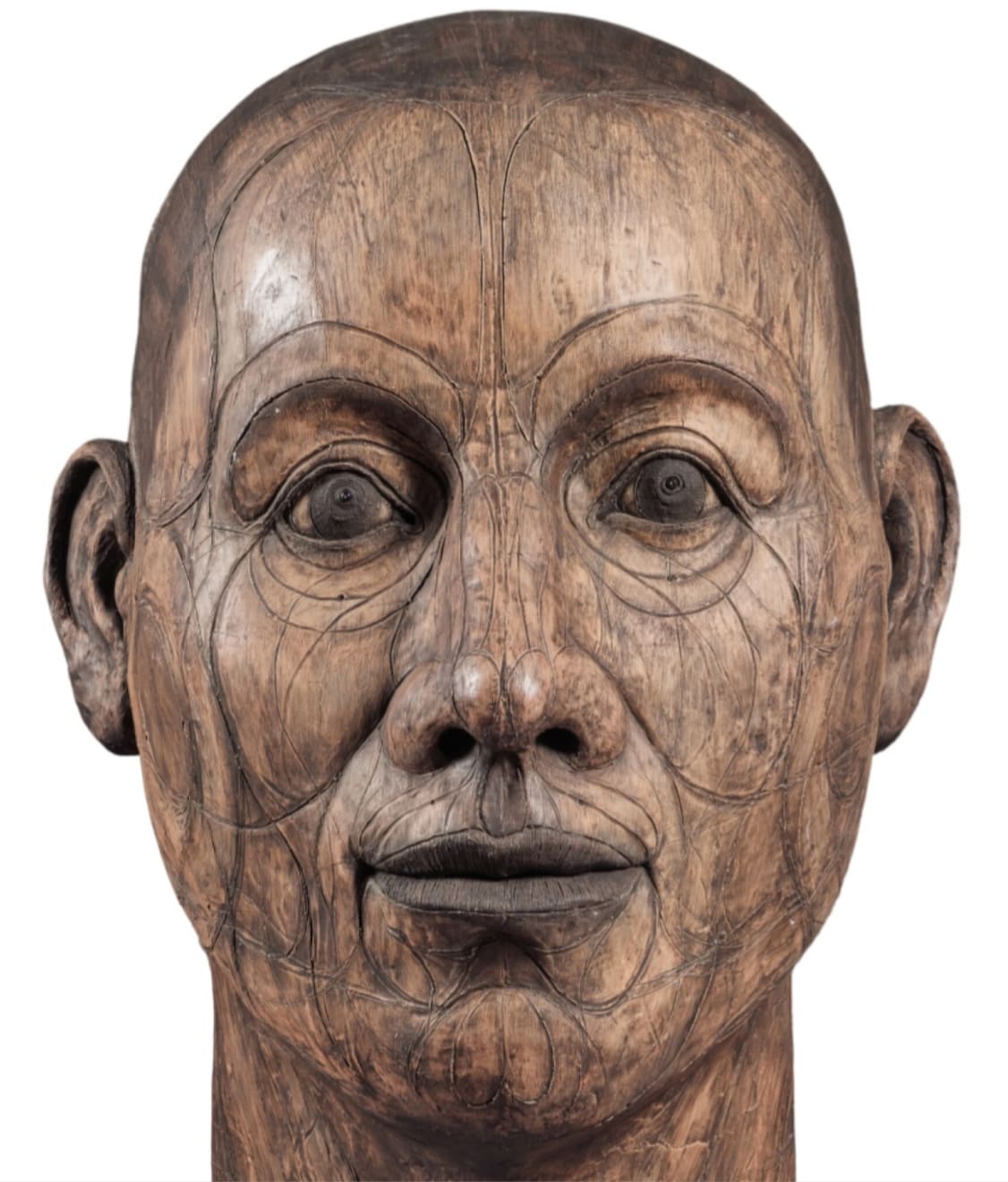 John Davies, Lined Head, 1988