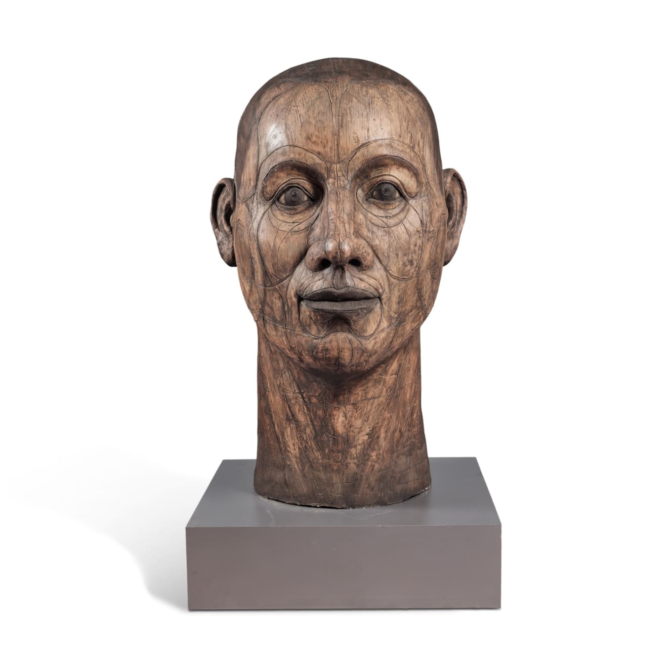 John Davies, Lined Head, 1988