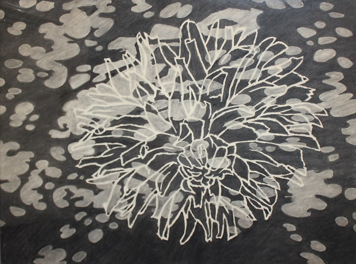 Edward Middleditch, Summer Drawing, 1972