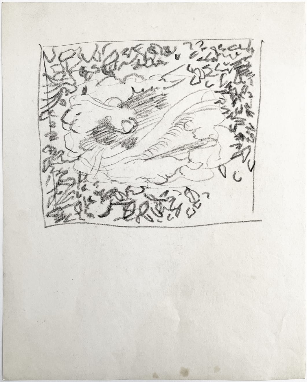 Edward Middleditch, Untitled (flowers and foliage)