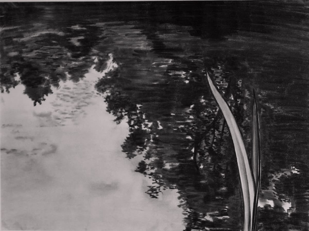 Edward Middleditch, Pond with Reed, 1977