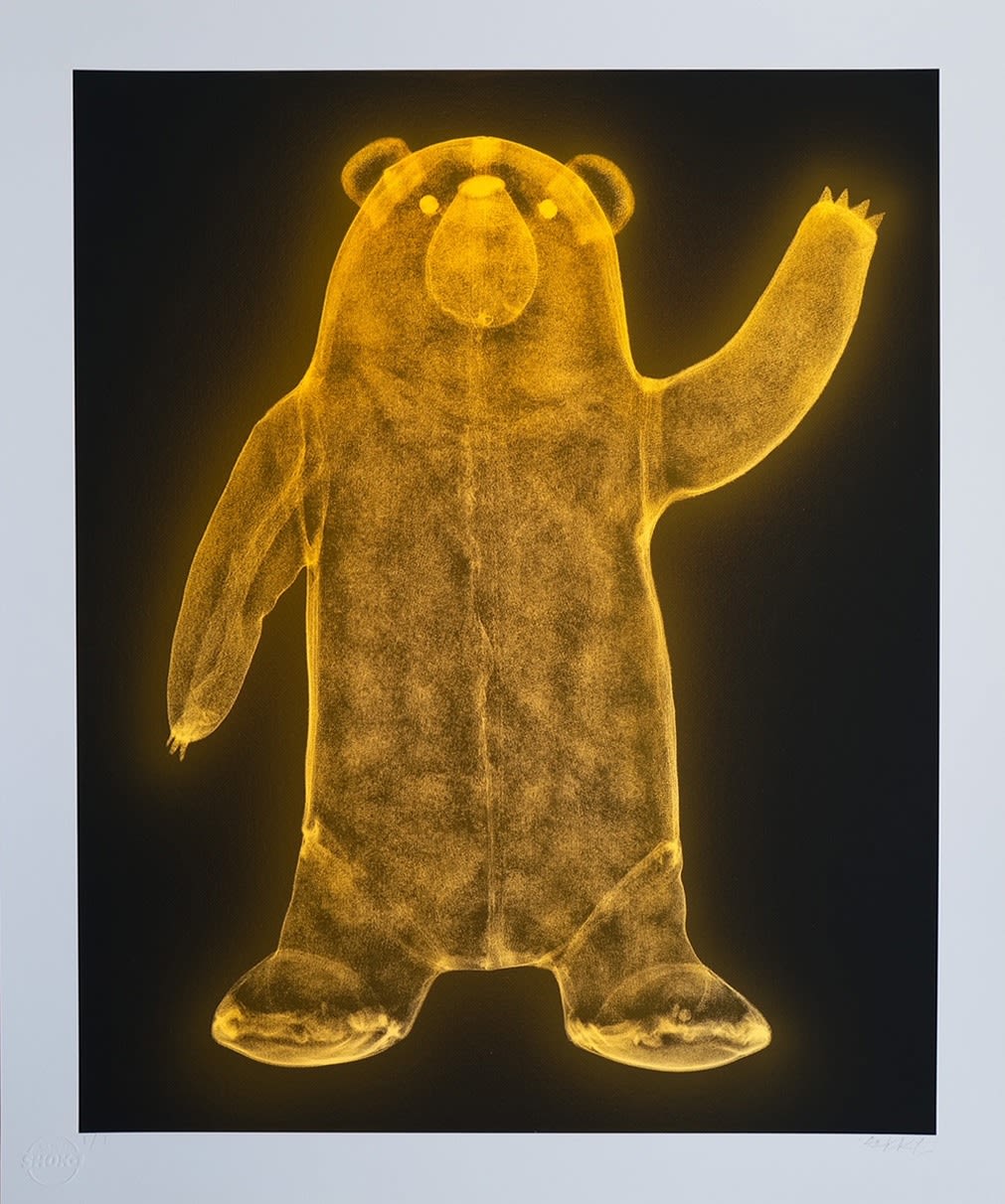 Shok-1, Bear X-ray (Chiaroscuro Green Face), 2022