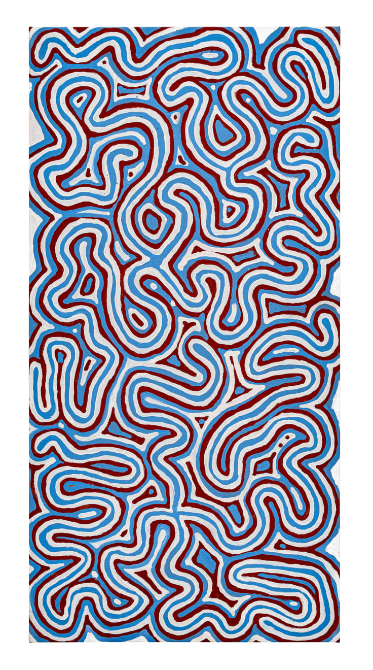 Biddy Long Yulngarri, Bush Vine Dreaming - Ngalyipi Jukurrpa, 2017