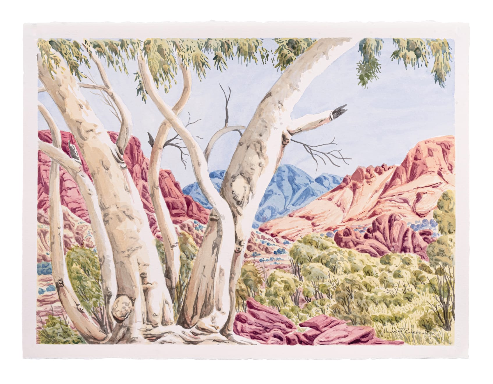Hubert Pareroultja, Looking towards Mount Sonder, 2024