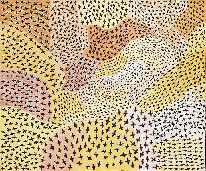 Myra Patrick Herbert, Budgerigar Dreaming - Ngatijirri Jukurrpa, 2019