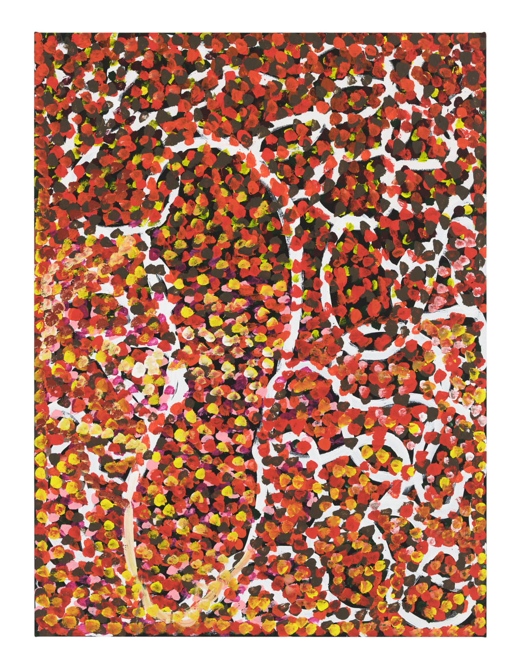Judy Kngwarray Greenie, Atnwelarr, 2025