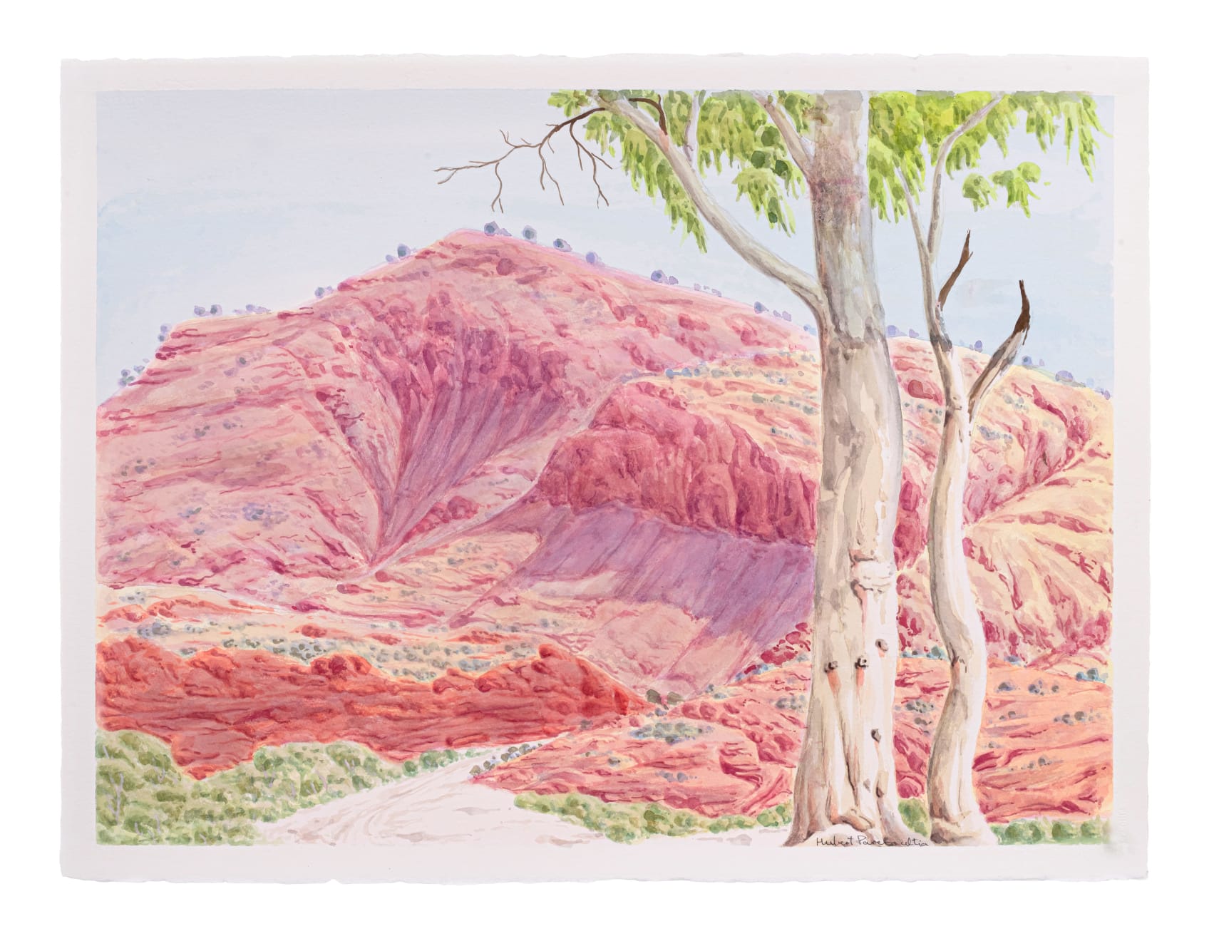 Hubert Pareroultja, Mount Hermannsburg, 2024