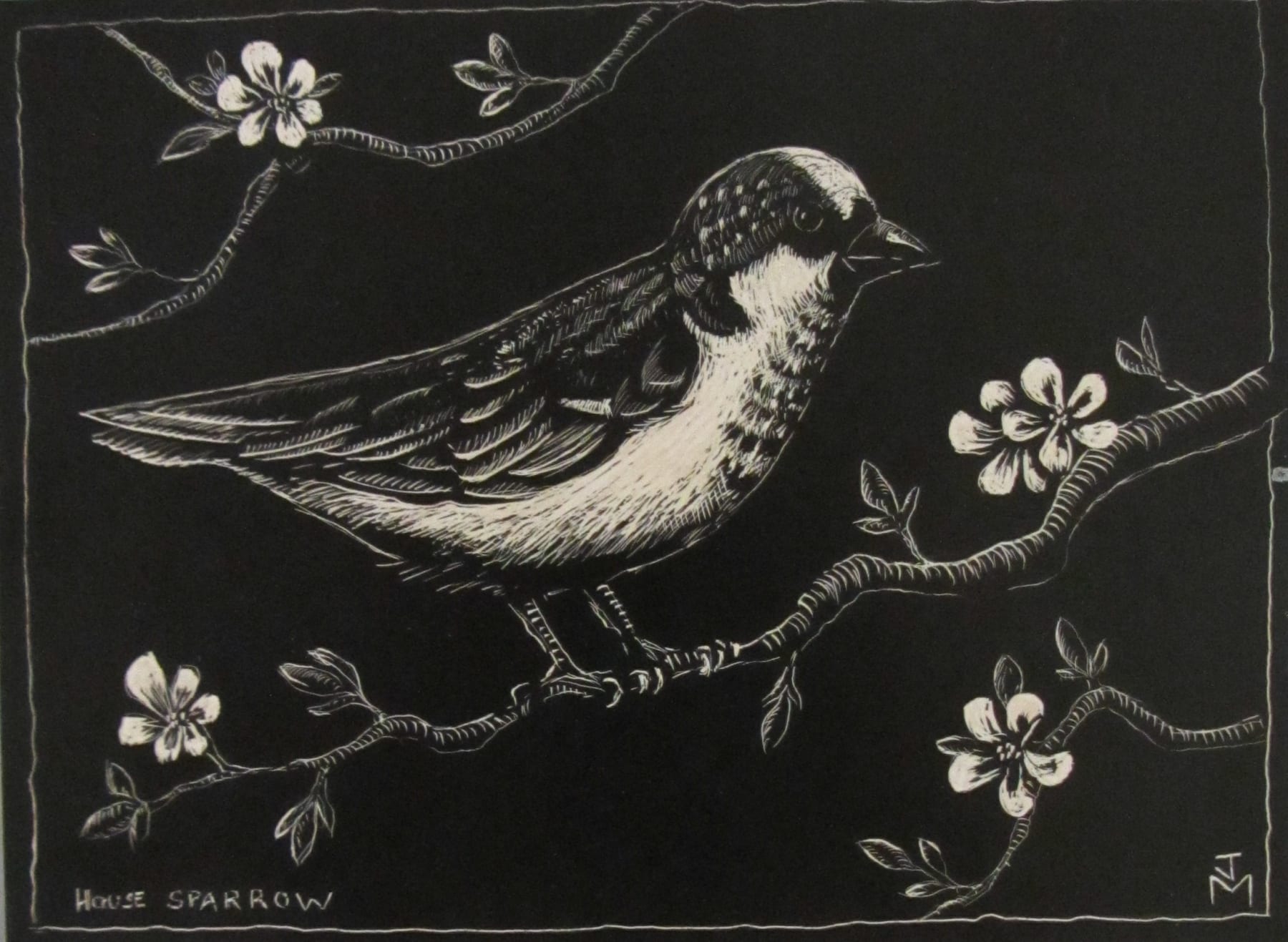 Joe Machine, House Sparrow, 2021
