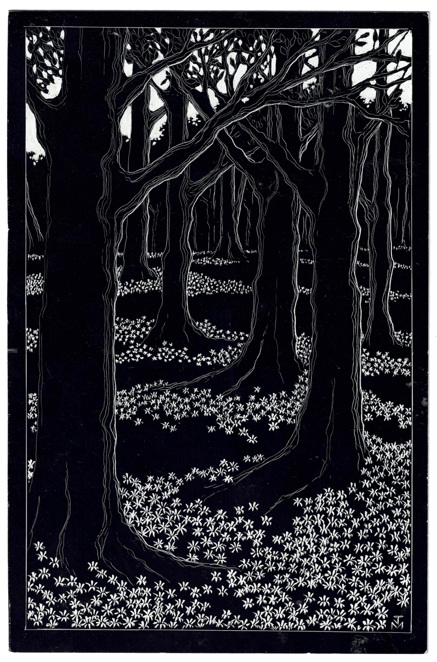 Joe Machine, Wood Anemones in Ancient Woodland, 2021