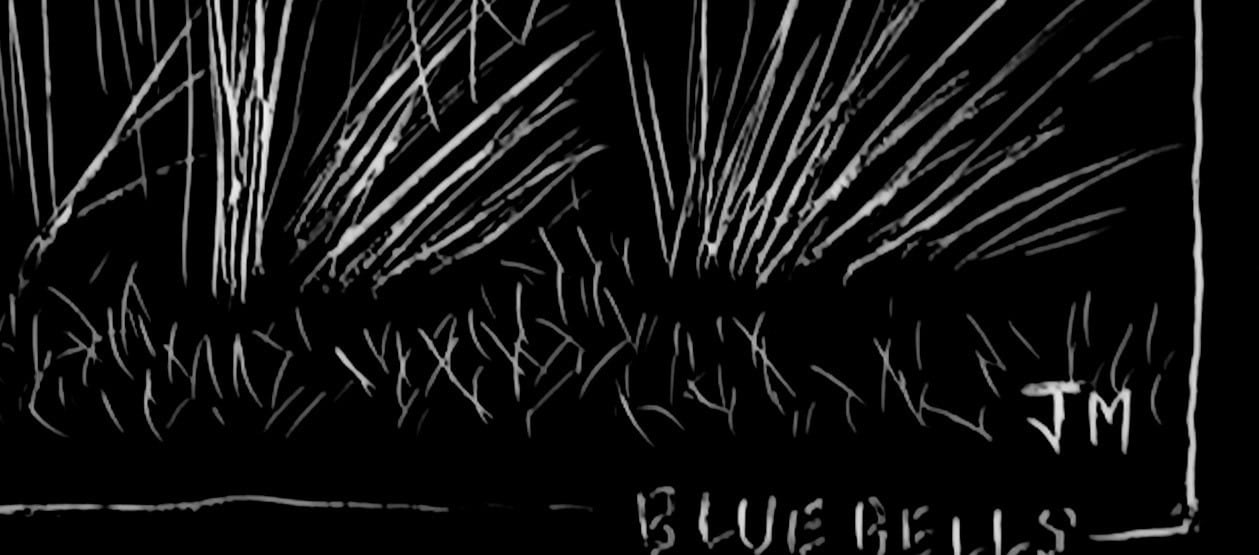 Joe Machine, Bluebells, 2017