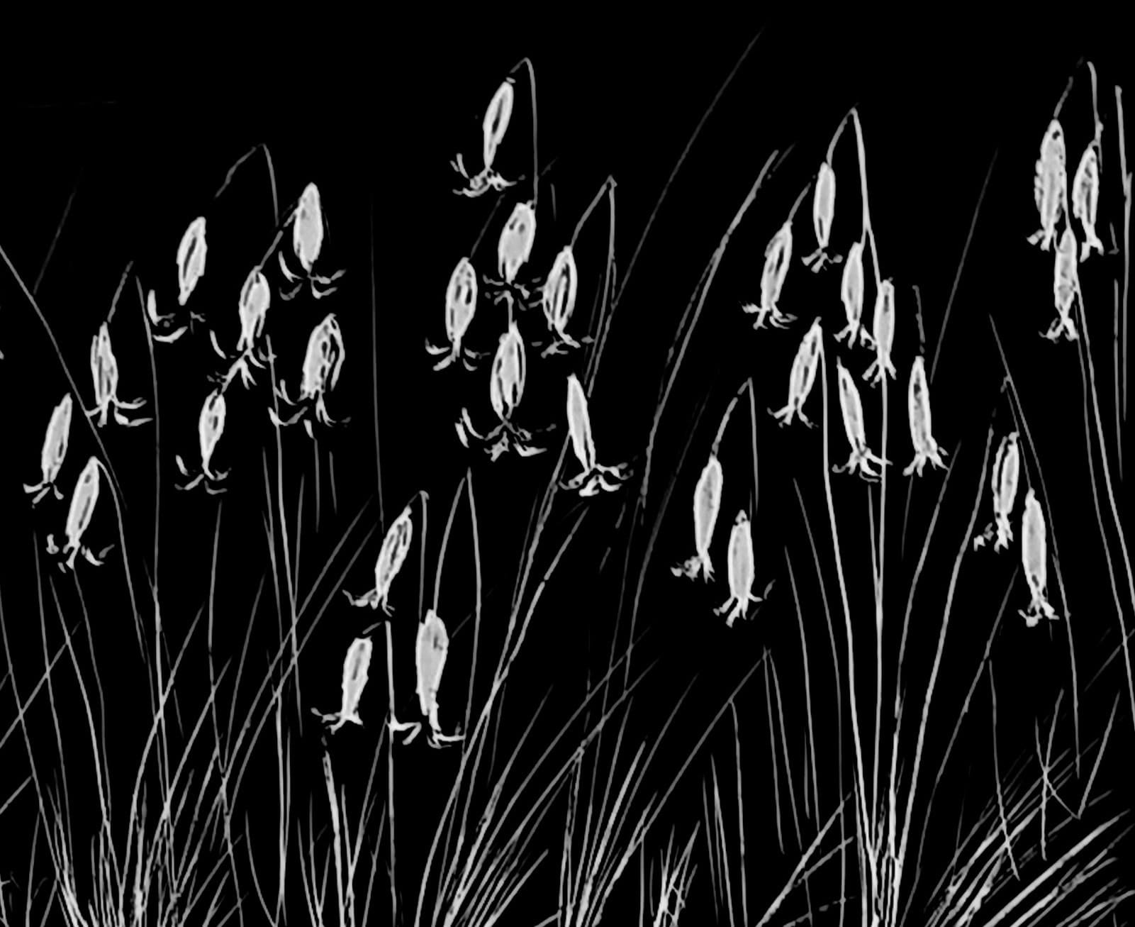 Joe Machine, Bluebells, 2017
