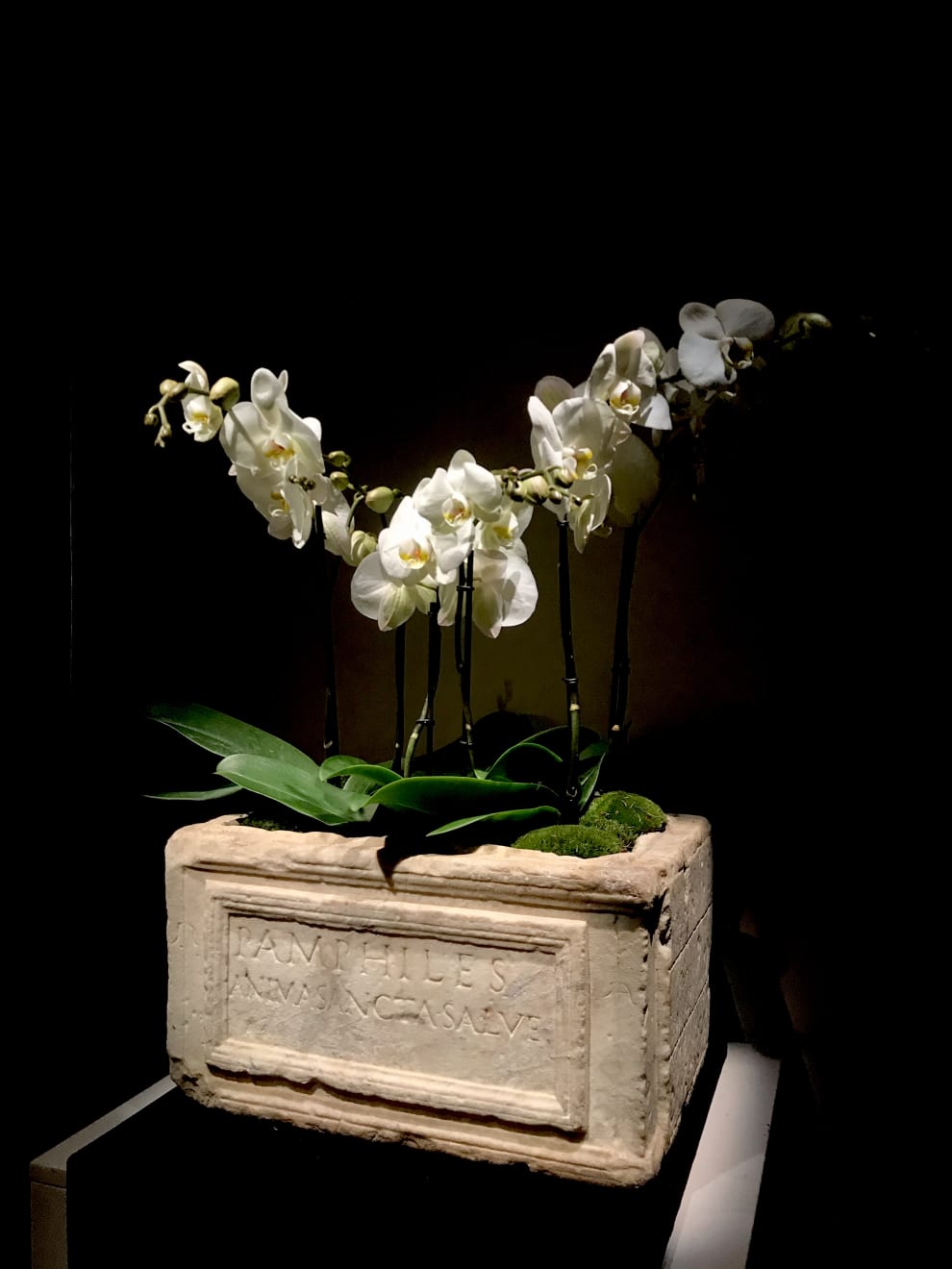 Roman, A Roman marble cinerary urn inscribed for Pamphile, circa 1st century AD