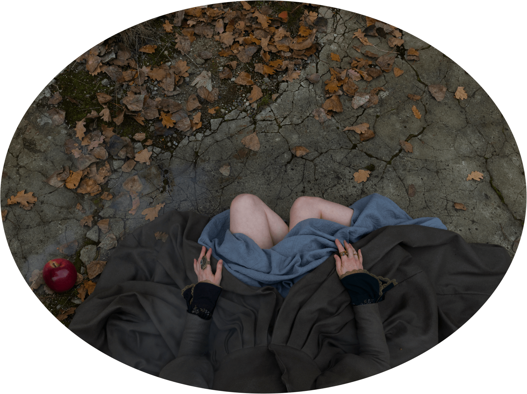 Katerina Belkina, The Gift, 2019