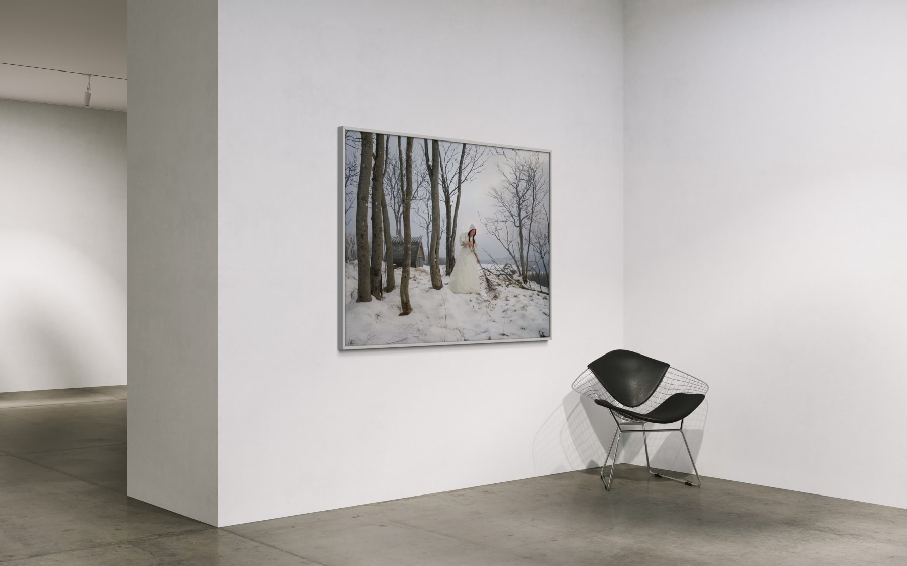 Katerina Belkina, Auspice, 2019