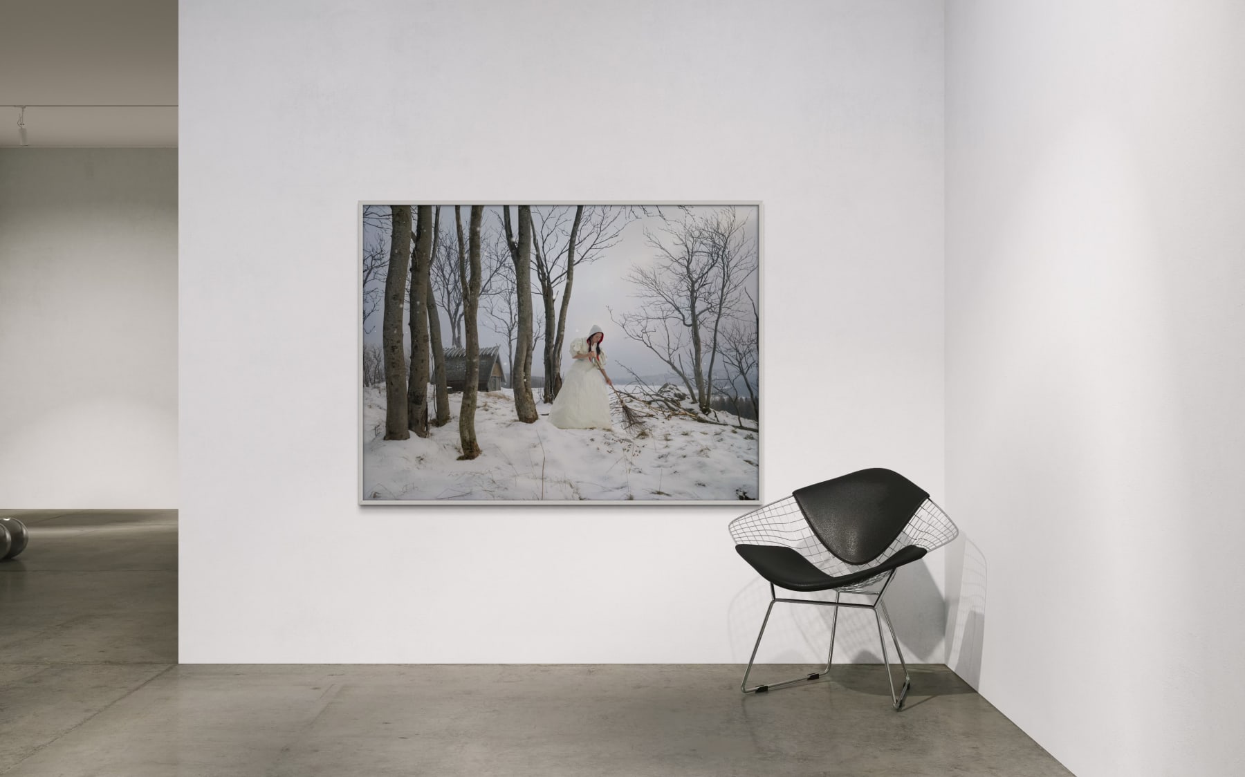 Katerina Belkina, Auspice, 2019