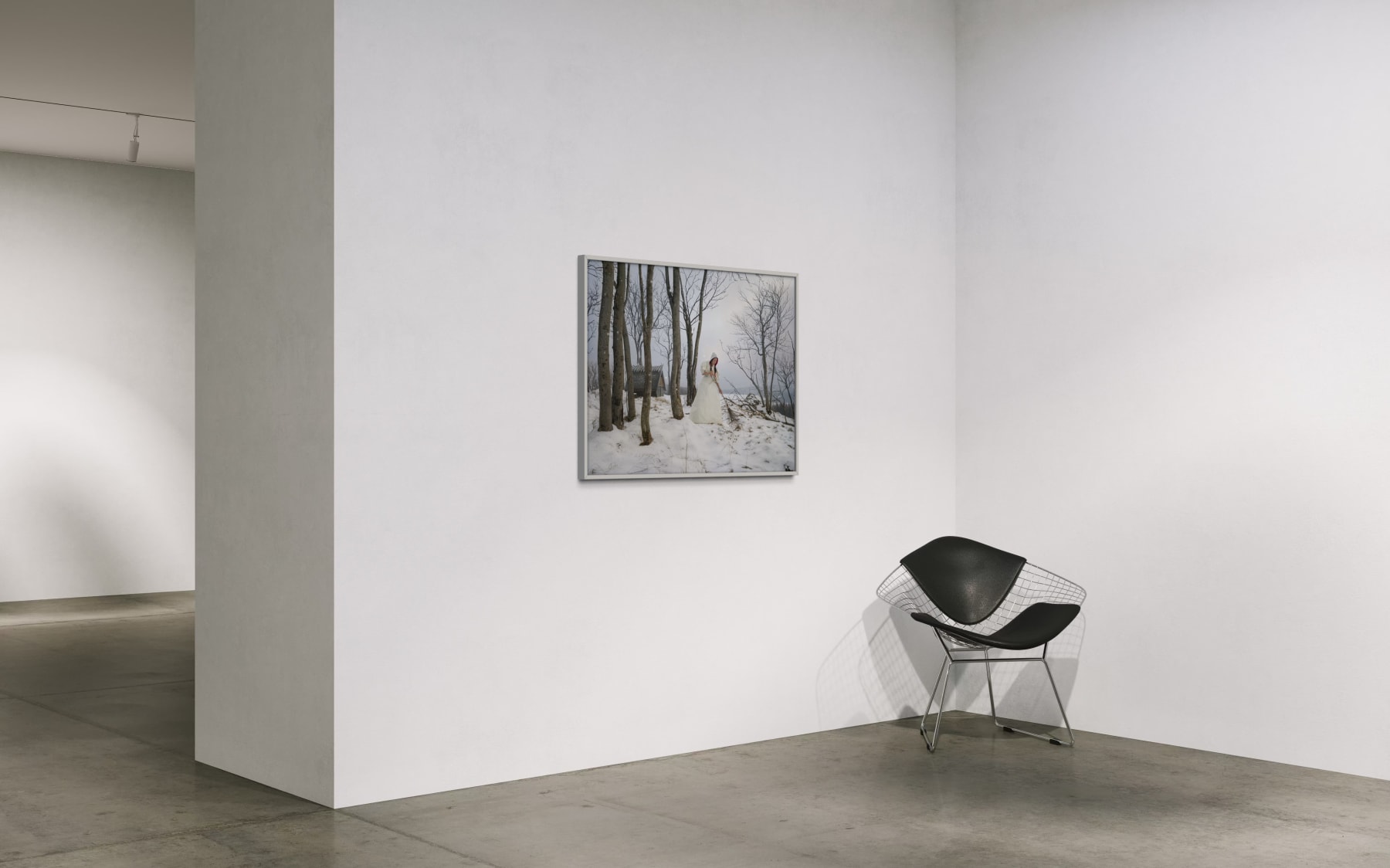 Katerina Belkina, Auspice, 2019