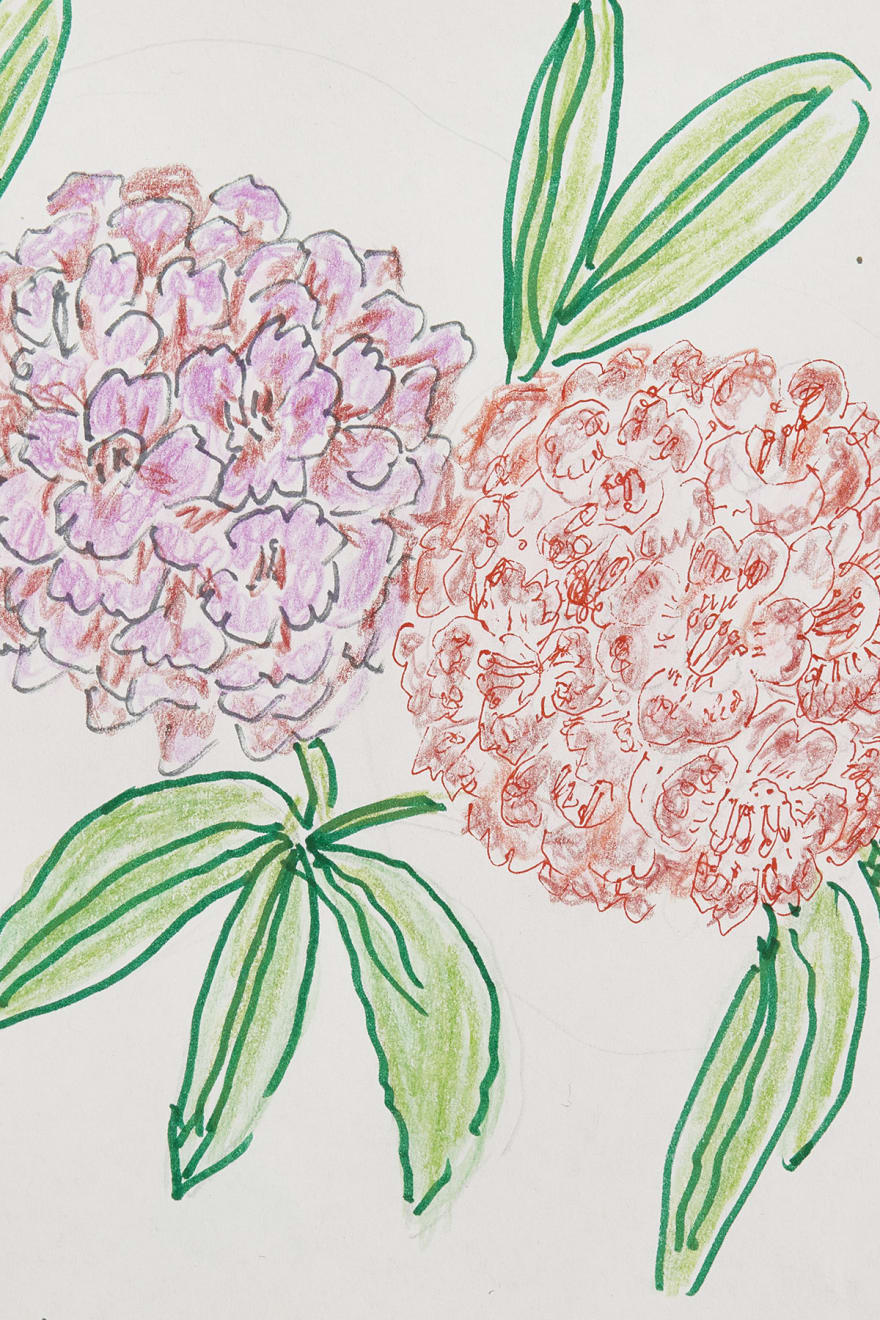 Magdalena Suarez Frimkess, Untitled, 2021