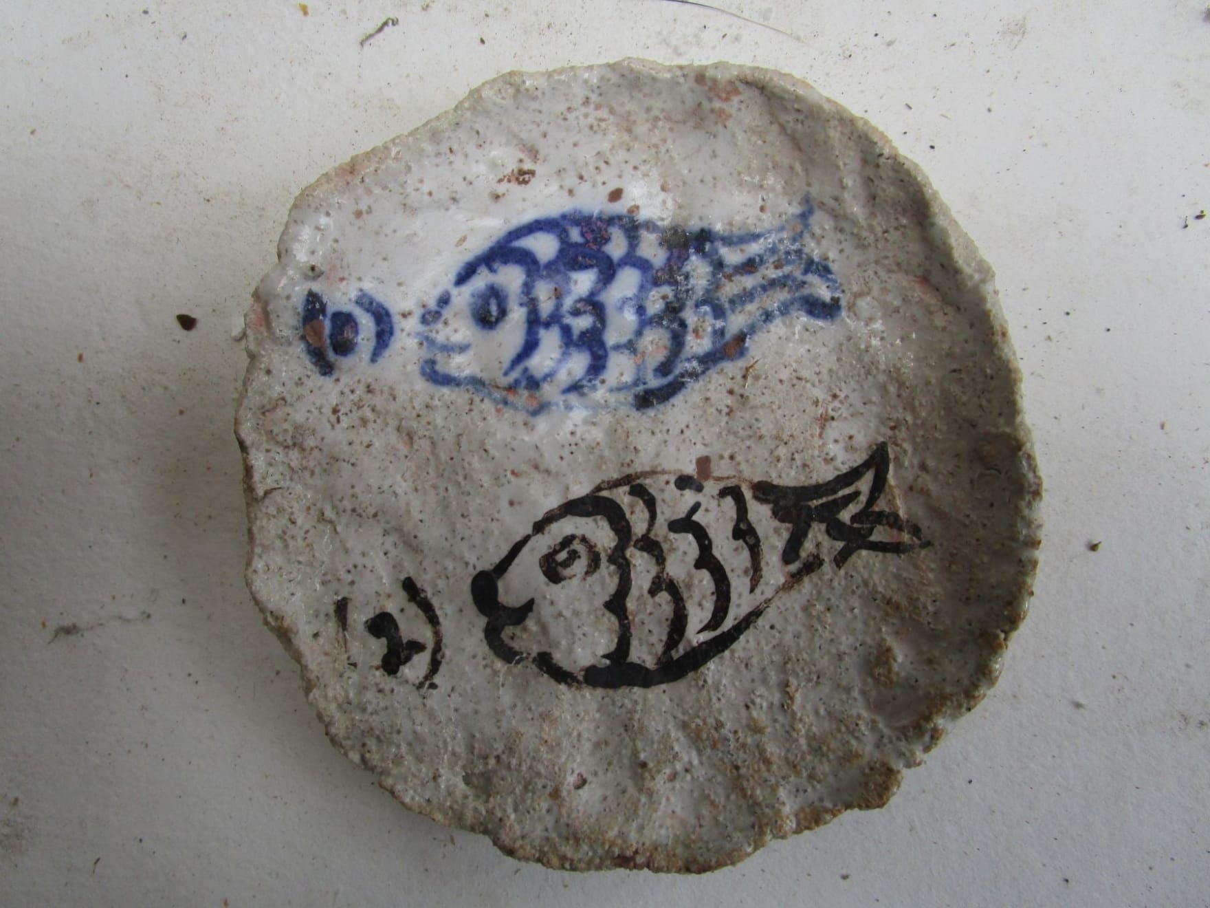 Magdalena Suarez Frimkess, Untitled, 2011