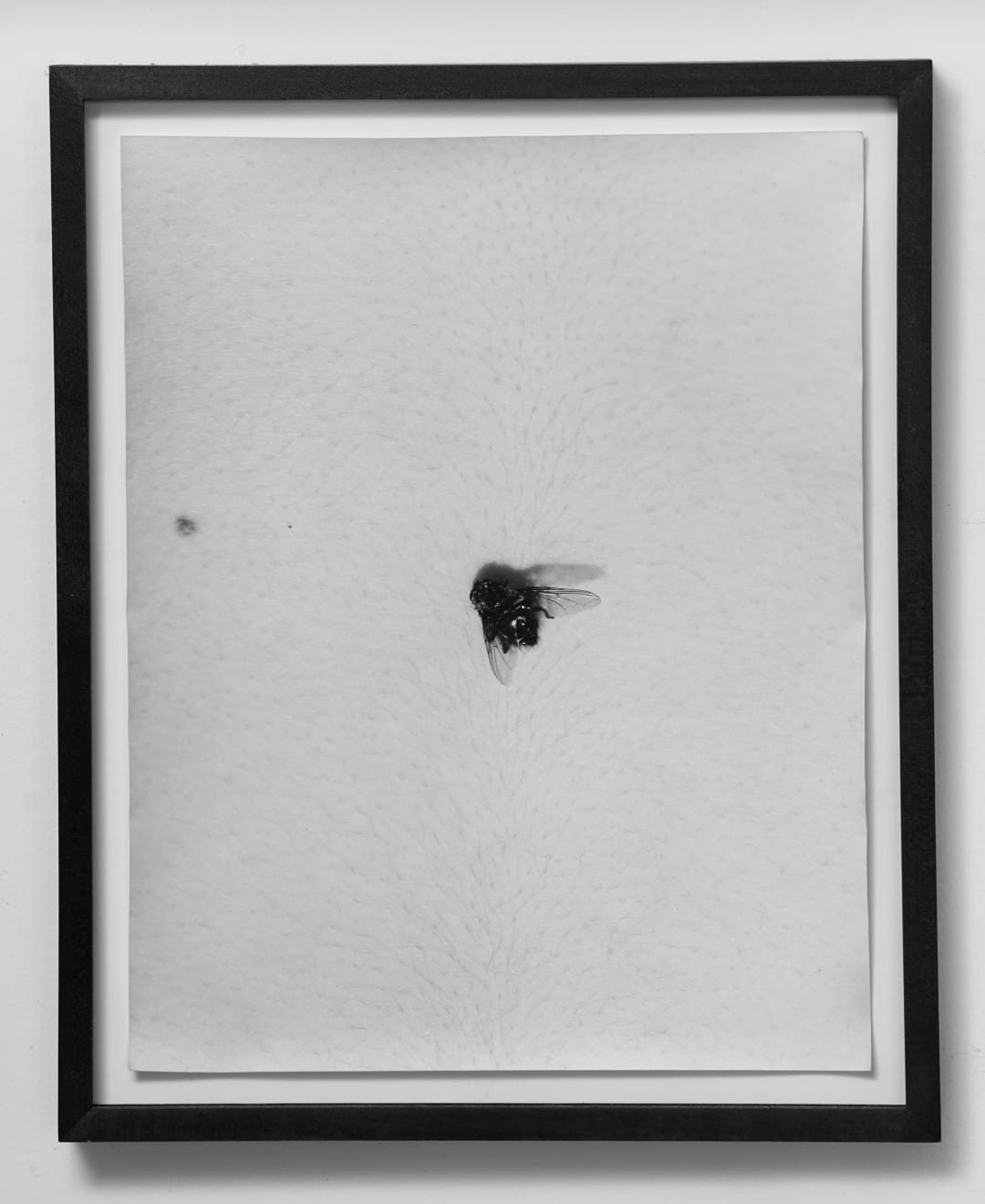 Talia Chetrit, Fly on Body, 2012
