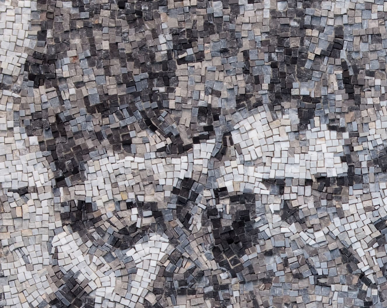 Adrian Paci, Brothers, 2010