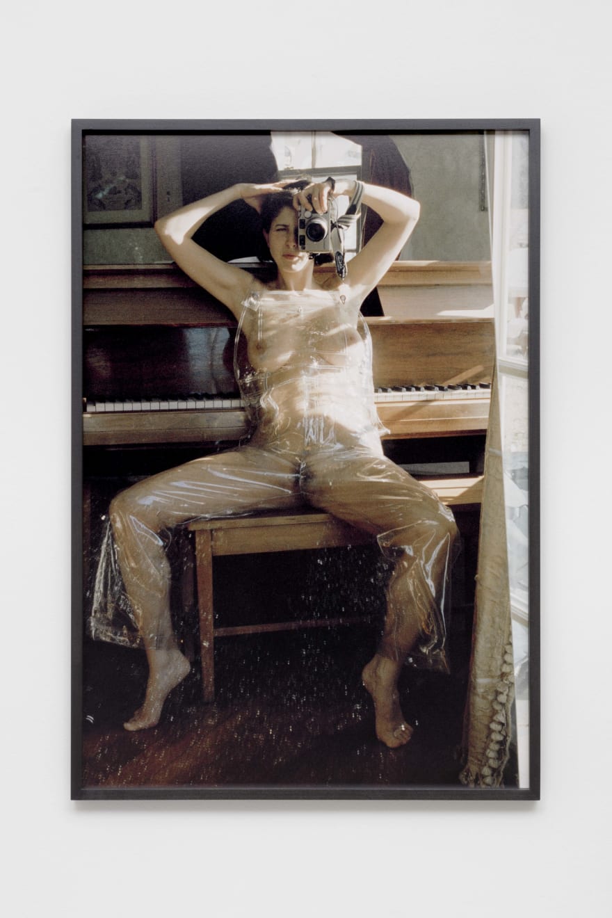 Talia Chetrit, Plastic Nude, 2016