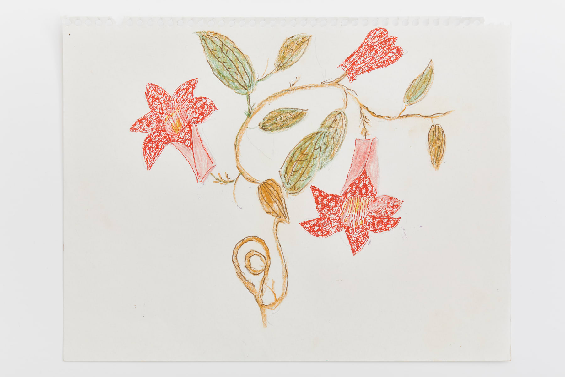 Magdalena Suarez Frimkess, Untitled, 2021