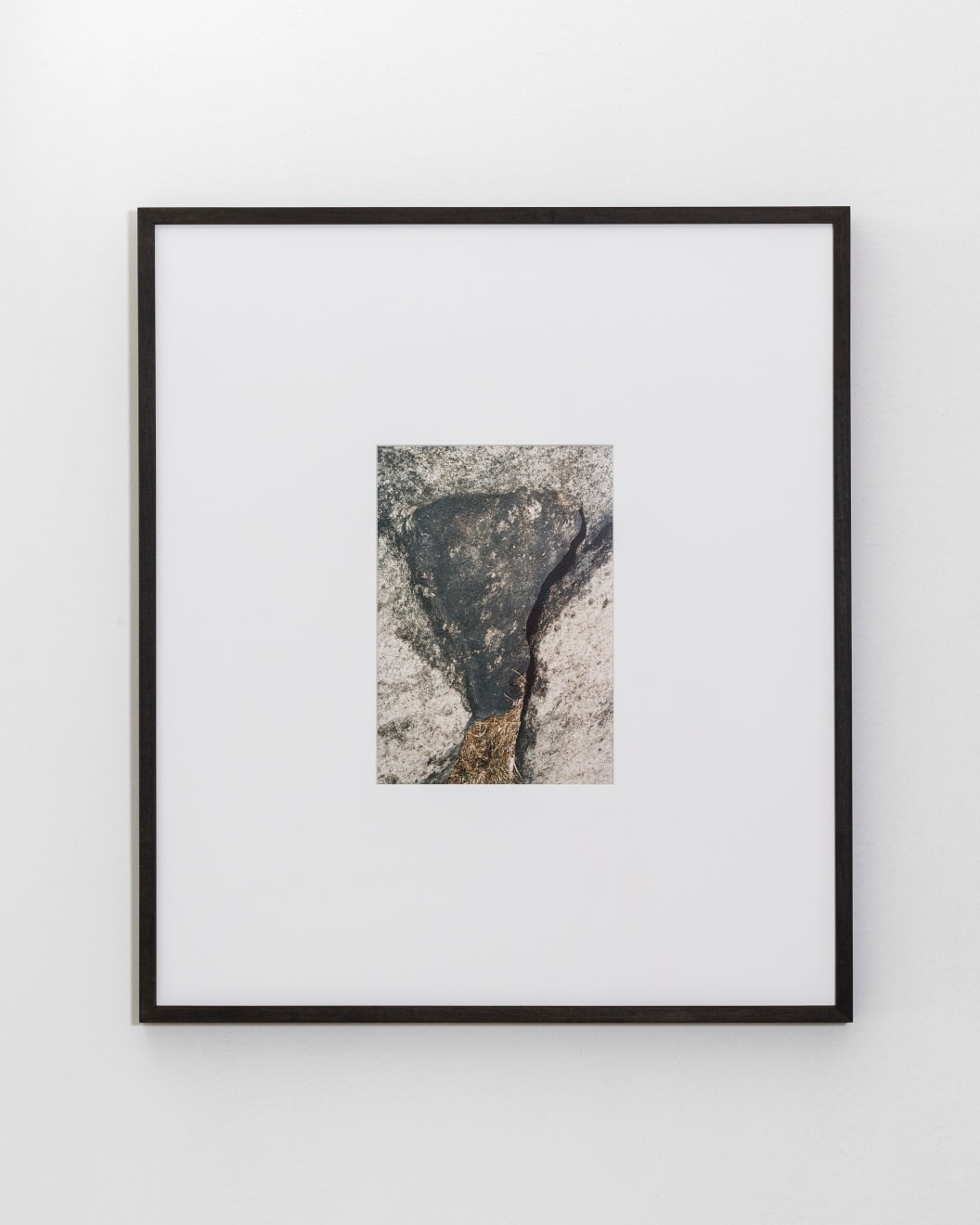Talia Chetrit, Rock, 2015
