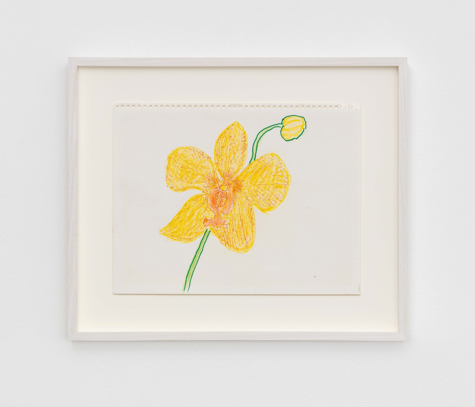 Magdalena Suarez Frimkess, Untitled, 2021