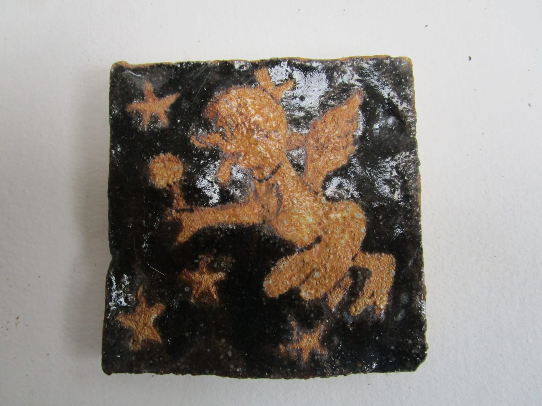 Magdalena Suarez Frimkess, Untitled, 2013